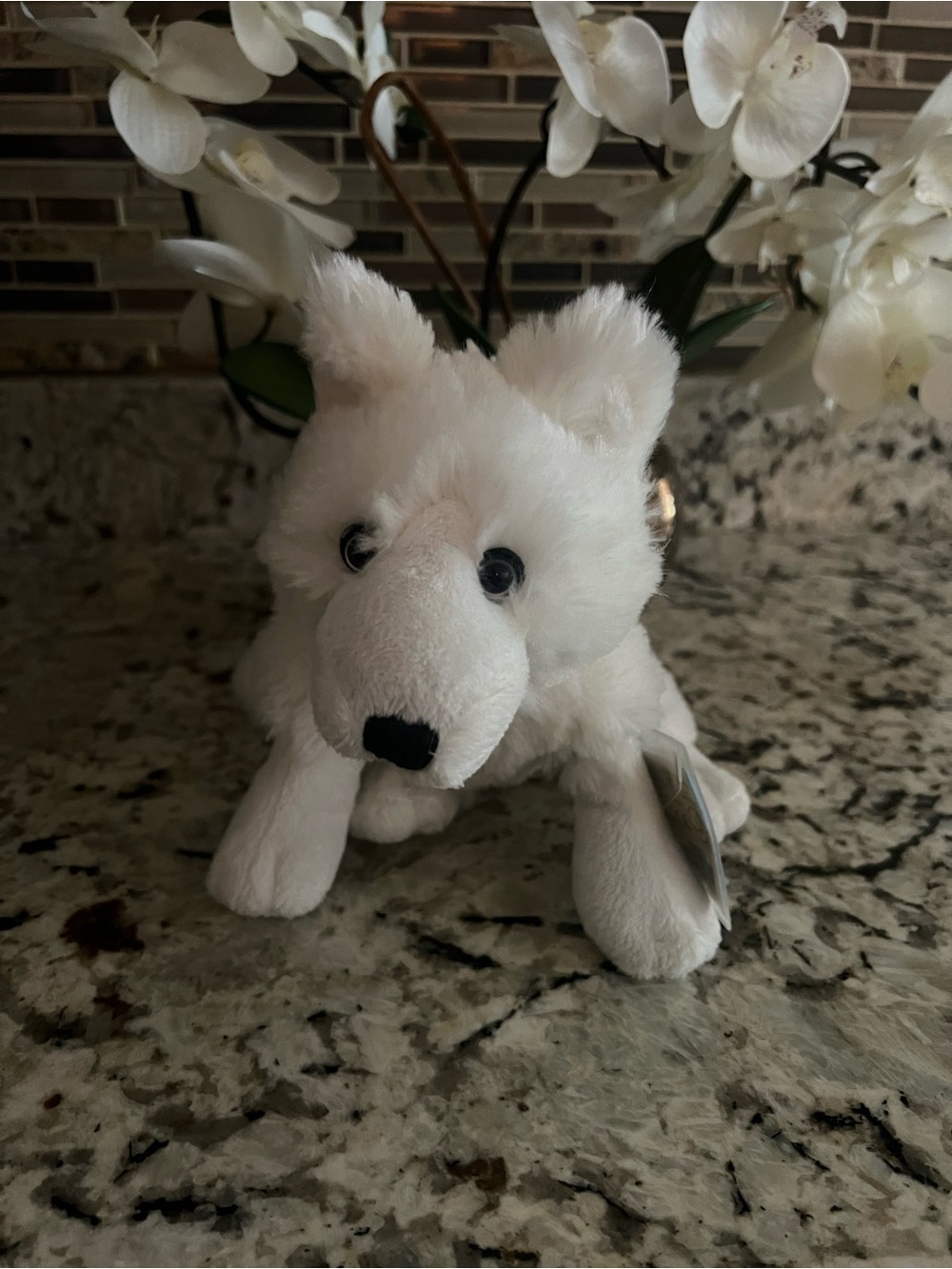 Ganz Webkinz Arctic Fox Plushie - with sealed code